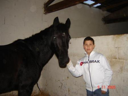 o cheval